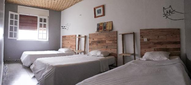 bigblue hostel surf and yoga