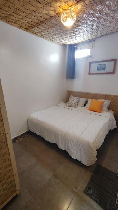 bigblue hostel surf and yoga