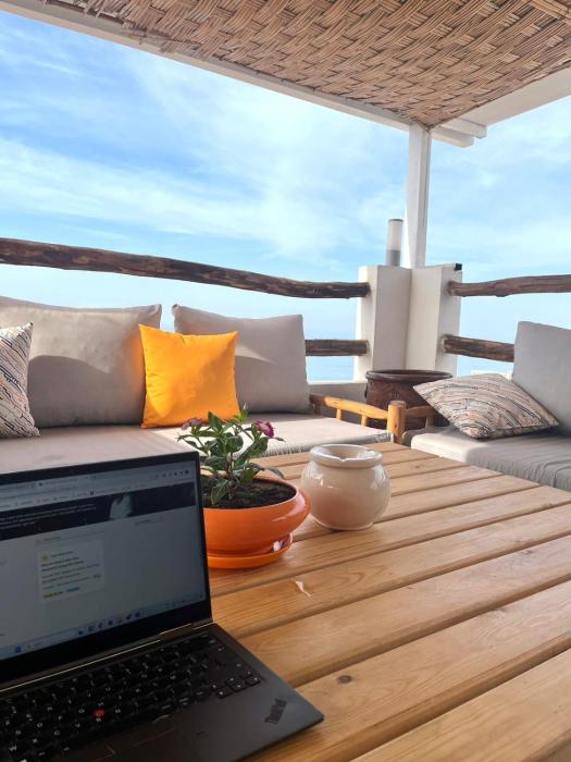 bigblue hostel surf and yoga