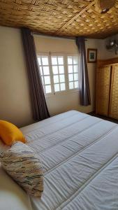 bigblue hostel surf and yoga