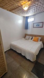 bigblue hostel surf and yoga