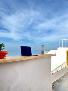 bigblue hostel surf and yoga