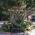 ban chomlay resort satun