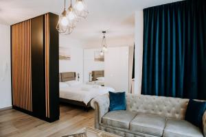 cluj napoca
