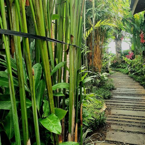 premadhan cottage canggu