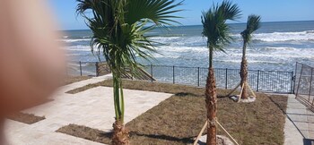 daytona beach shores
