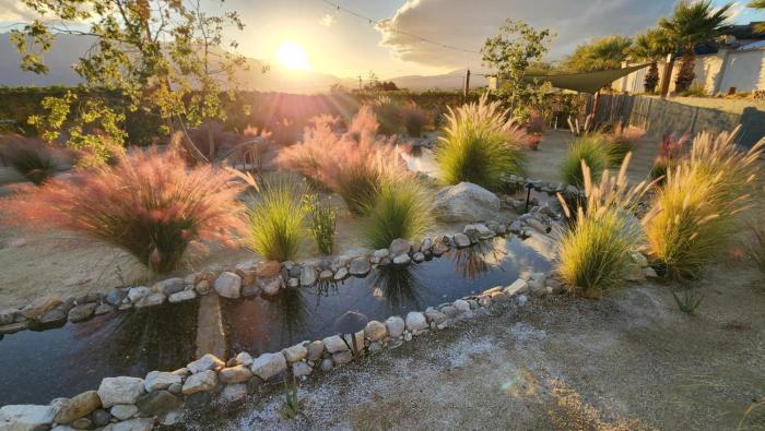 azure palm hot springs