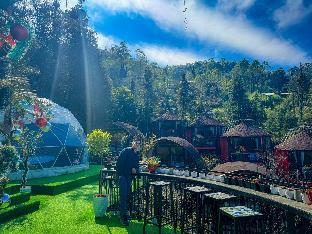 plum homestay