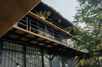 tam dao