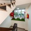house of backpackers
