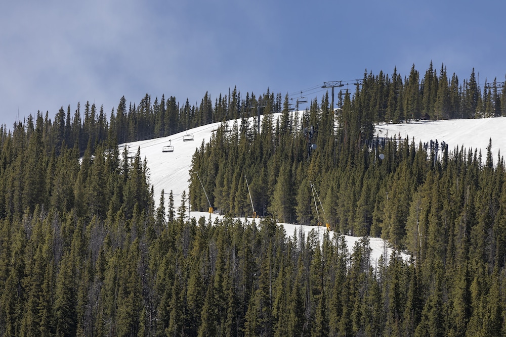 cambria hotel copper mountain