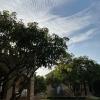 the postcard gir wildlife sanctuary