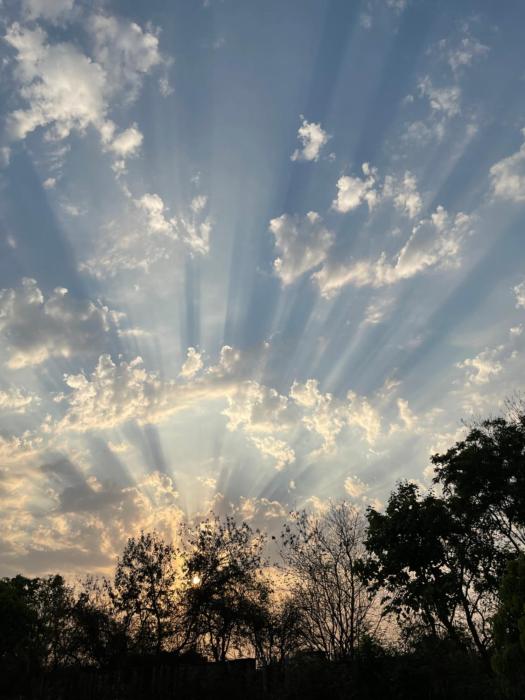 the postcard gir wildlife sanctuary