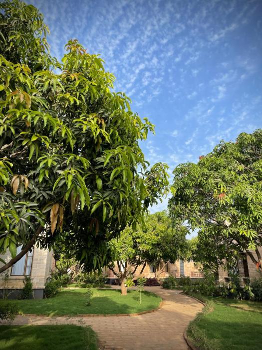 the postcard gir wildlife sanctuary