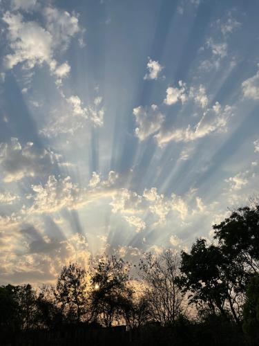 the postcard gir wildlife sanctuary