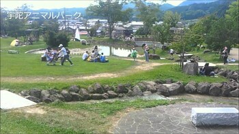 the exp yachiyo