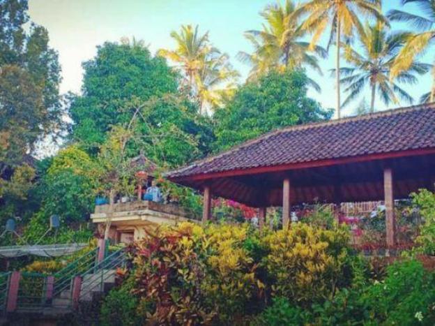 ipsa villa