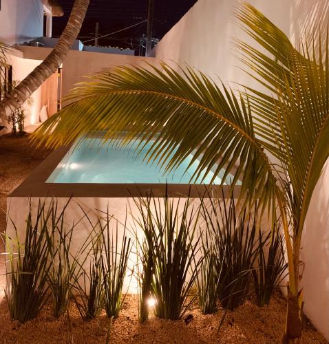 apartments and suites madre holbox self check in
