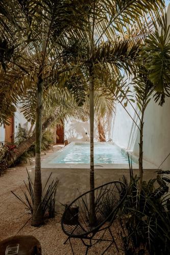 apartments and suites madre holbox self check in