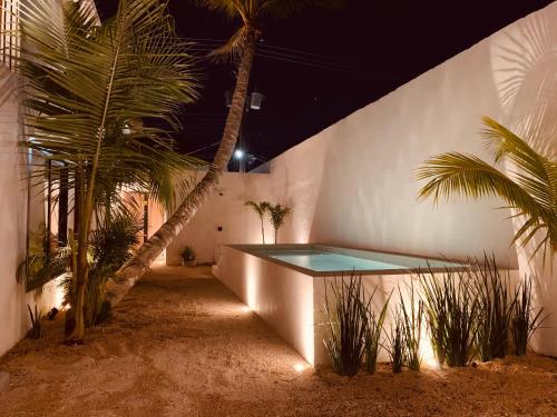 isla holbox