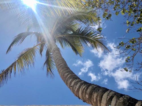 isla holbox