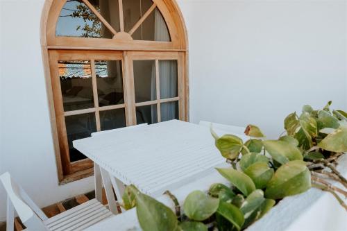 isla holbox