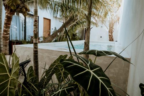 apartments and suites madre holbox self check in
