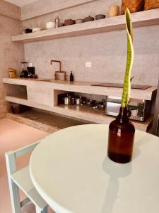 apartments and suites madre holbox self check in