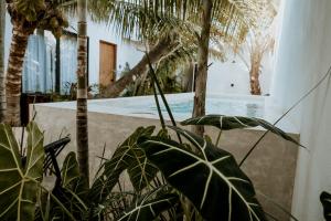 apartments and suites madre holbox self check in