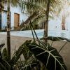 apartments and suites madre holbox self check in