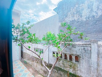 hips house homestay hostel