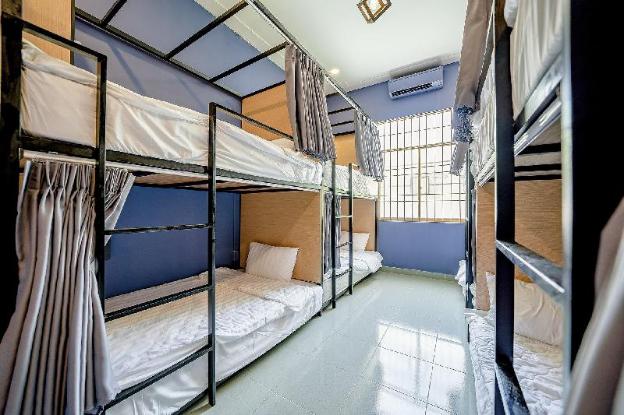 hips house homestay hostel