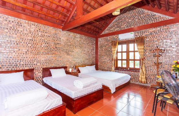 bai dinh eco homestay
