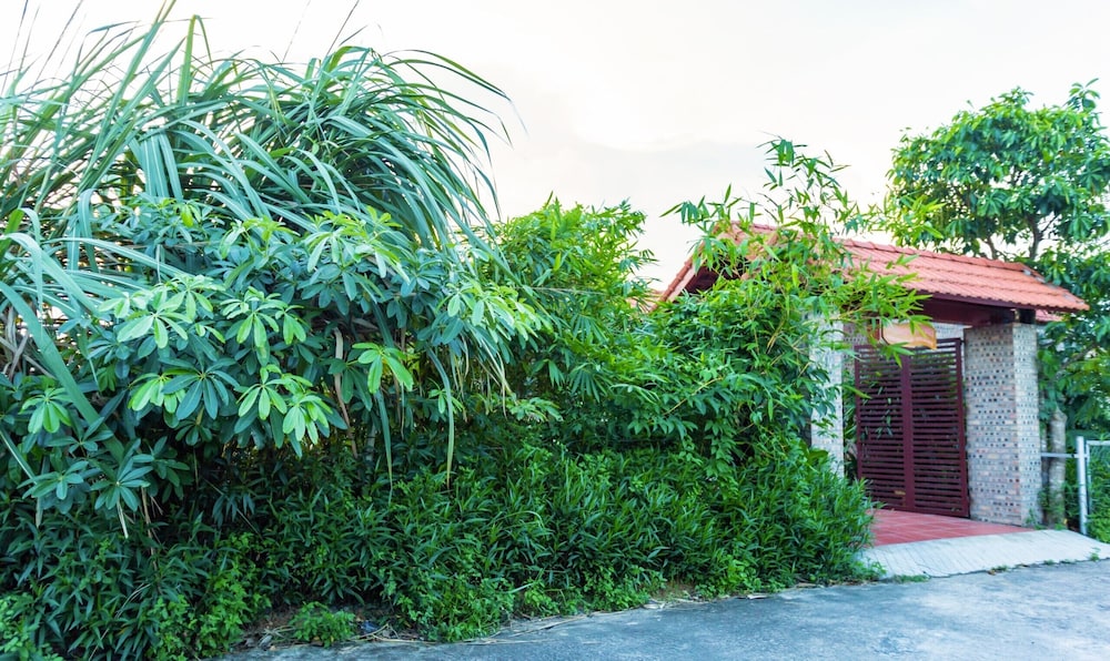 bai dinh eco homestay