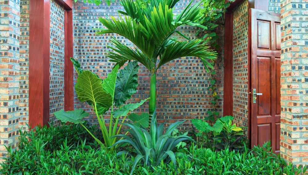 bai dinh eco homestay