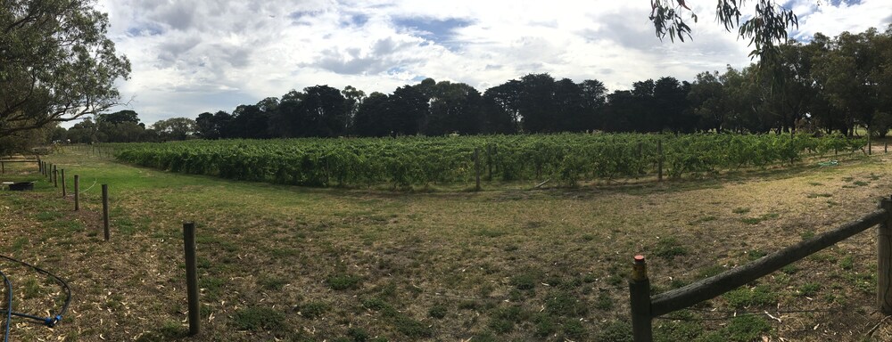 bellarine spa wellness and retreat