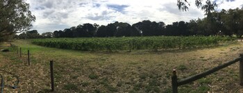 bellarine spa wellness and retreat