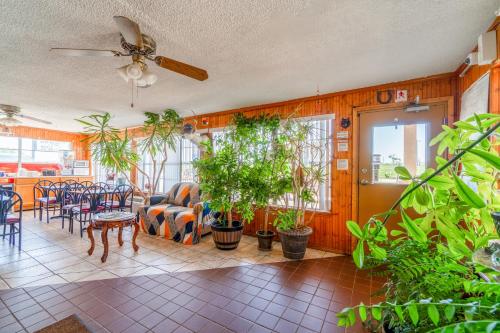lone star inn