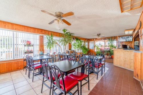 lone star inn