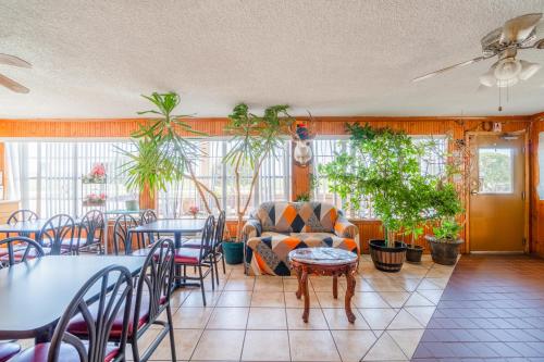 lone star inn