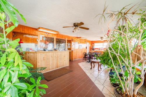 lone star inn
