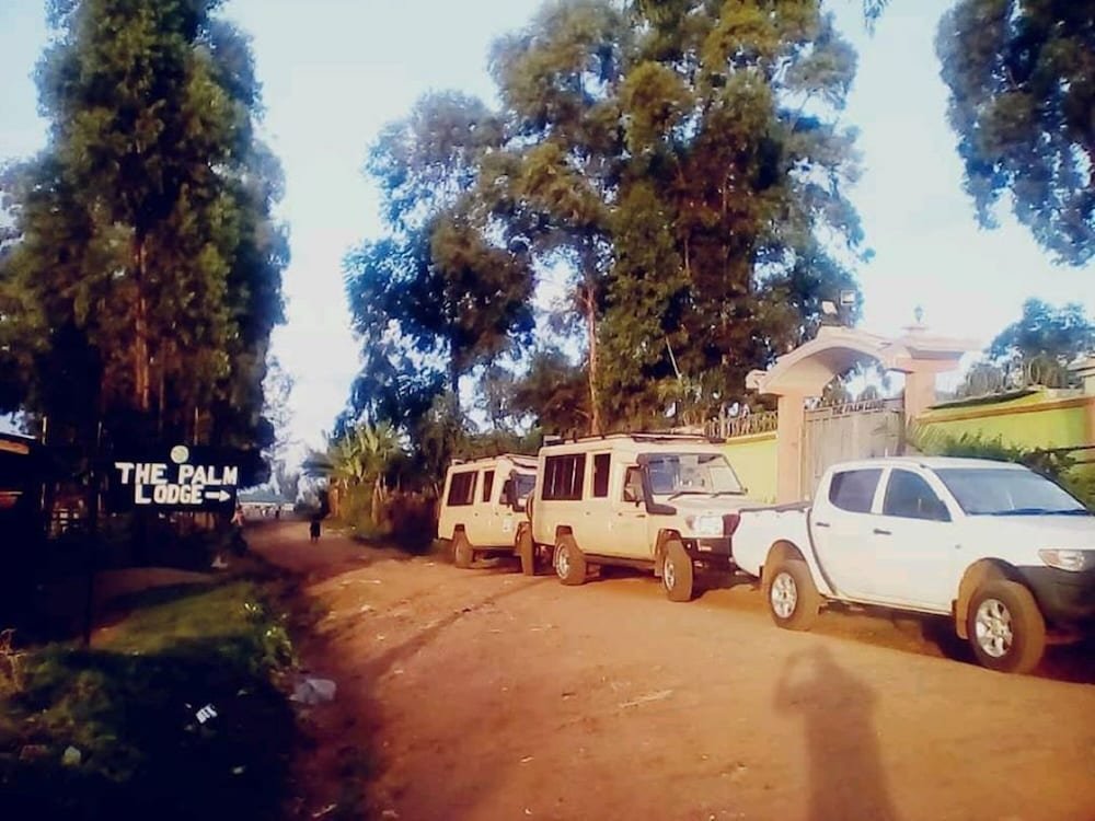 The Palm Lodge,,2.5 star