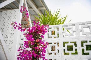 shirahama beach garden
