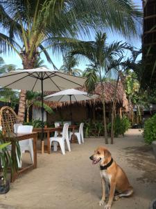 zhayas beach and cottages