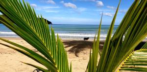 zhayas beach and cottages