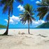 el nido