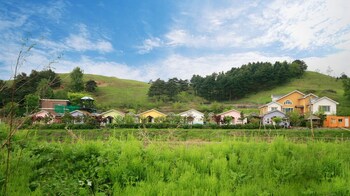 yangyang