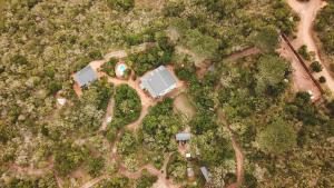 treedom villas and vardos