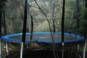 treedom villas and vardos