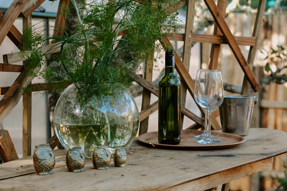 treedom villas and vardos